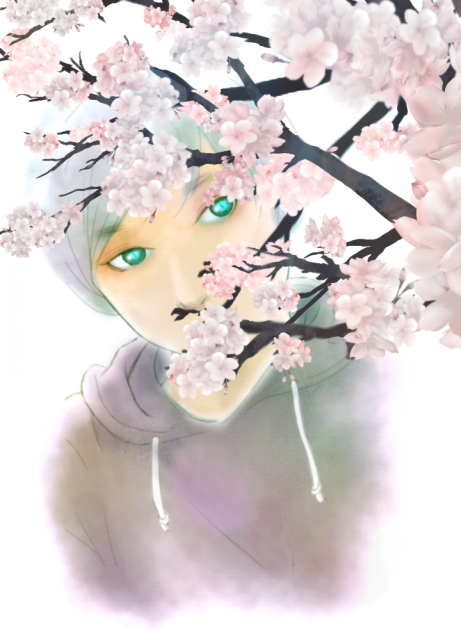 桜