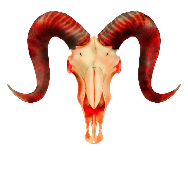 Skull of Satan