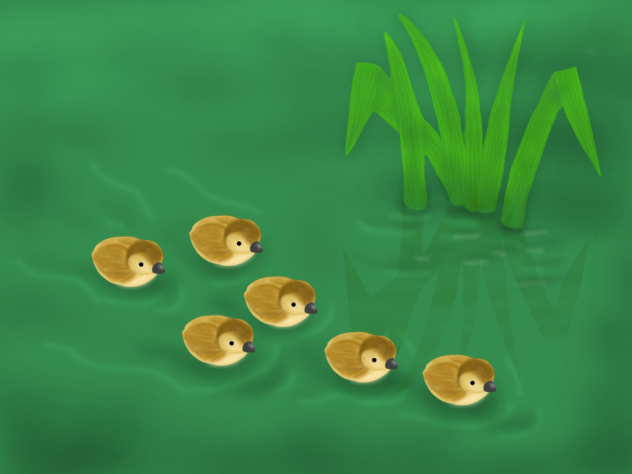 カルガモの行進