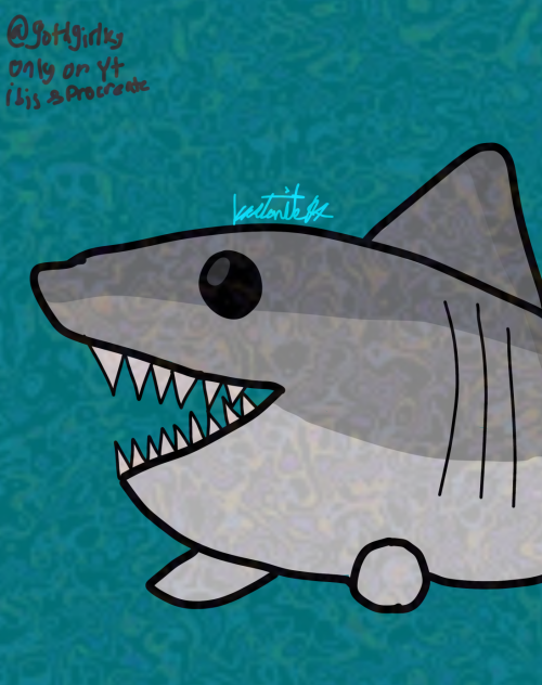 shark