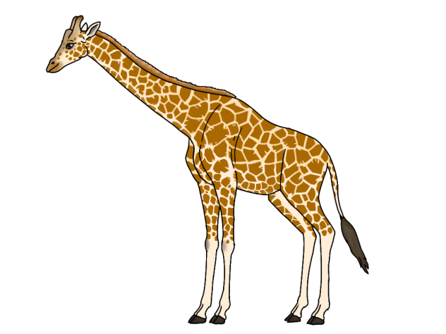 Nubian Giraffe2