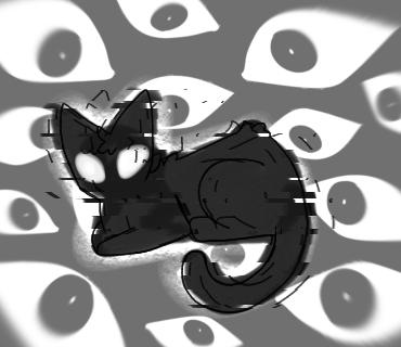 the eyes