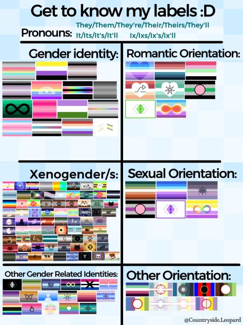 All my Lgbtqia+ flags! 🏳‍🌈