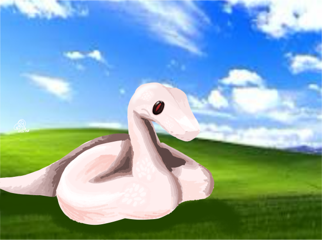 Red eye leucistic ball python