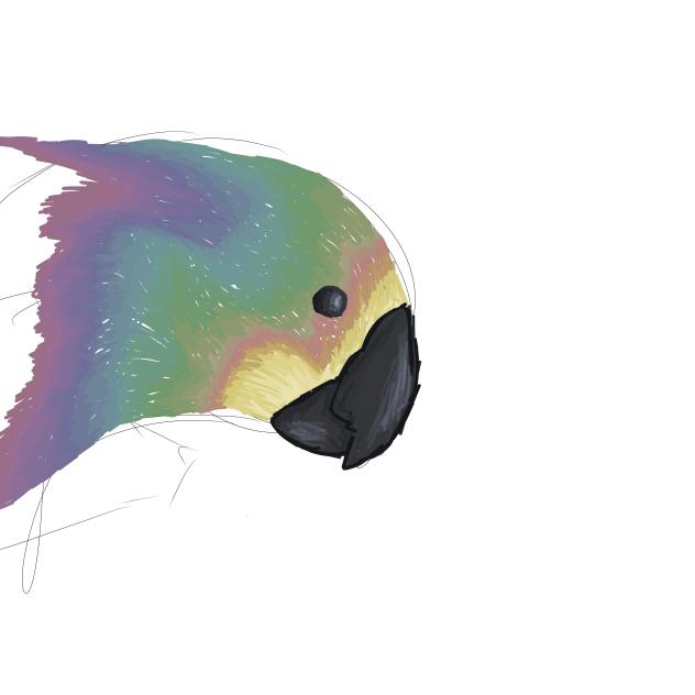 WIP 2 - ibisPaint