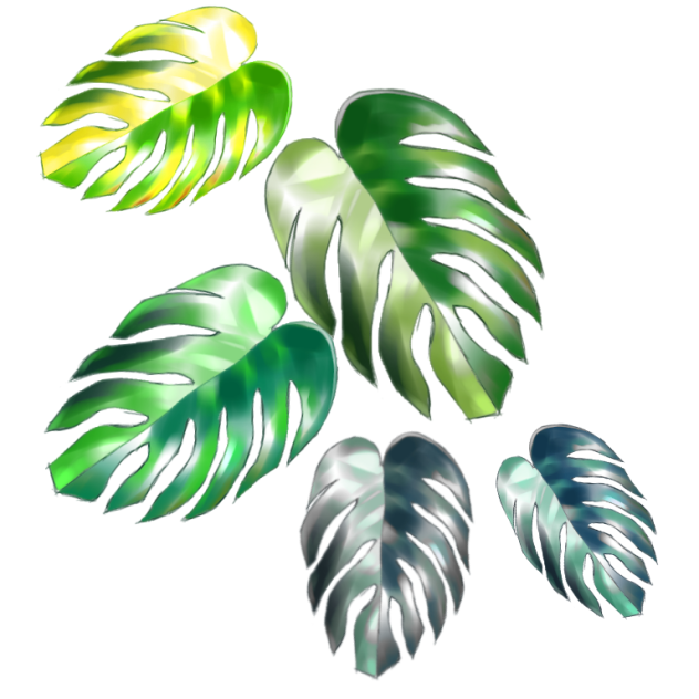 モンステラ素材 南国背景 Ibispaint