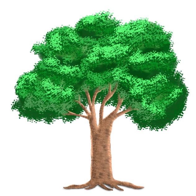 TREE PNG 🌳
