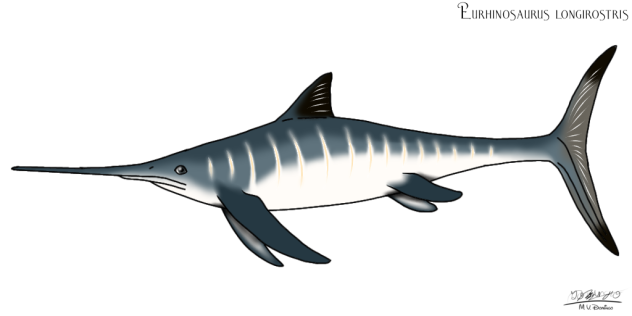 Eurhinosaurus longirostris