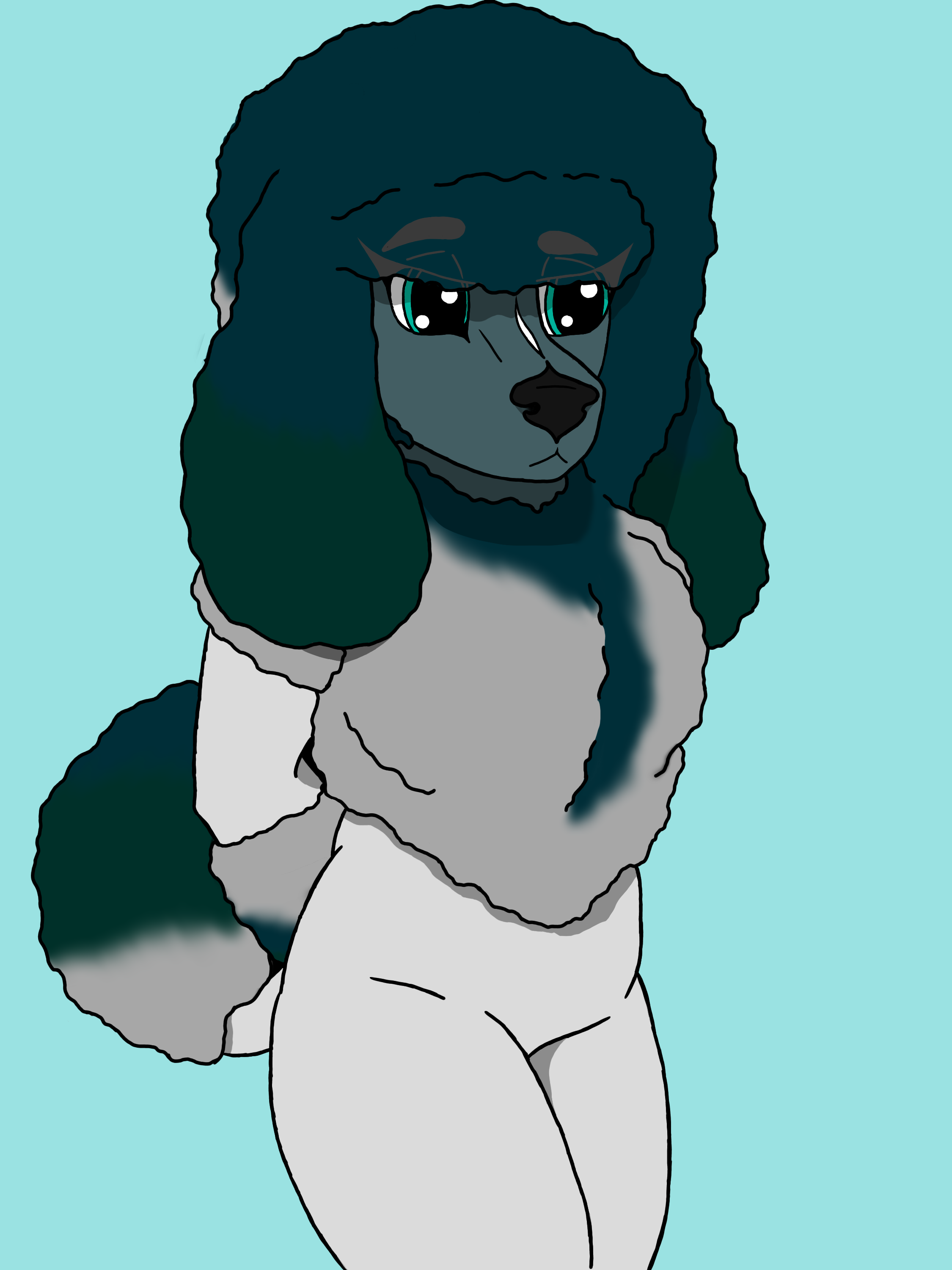 New poodle yuka! - ibisPaint