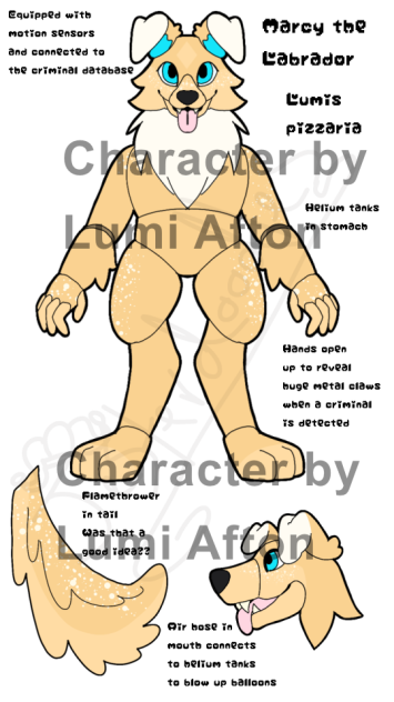 Untitled666 Marcy the Labrador