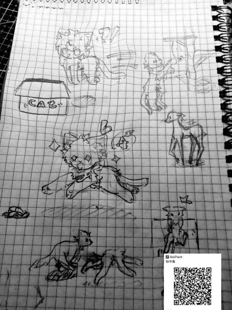 物理课上的小猫咪