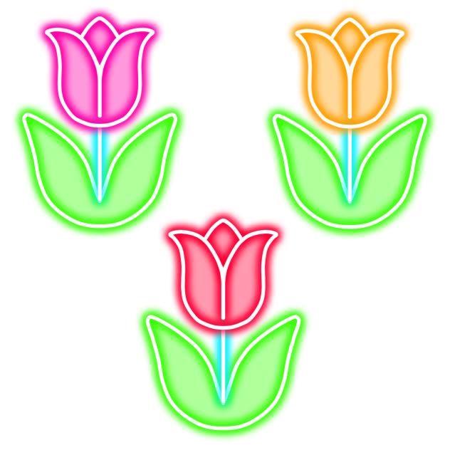 tulip neon eicon 2