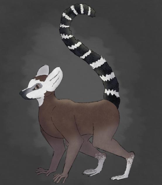 Makeup for Wed; Lemur