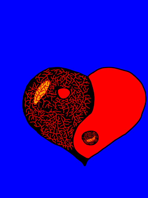 Herz 14