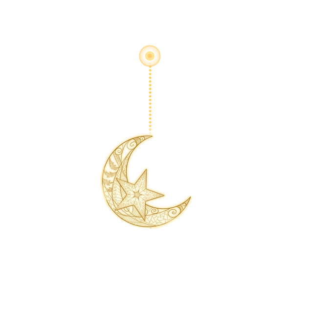 星と月のピアス