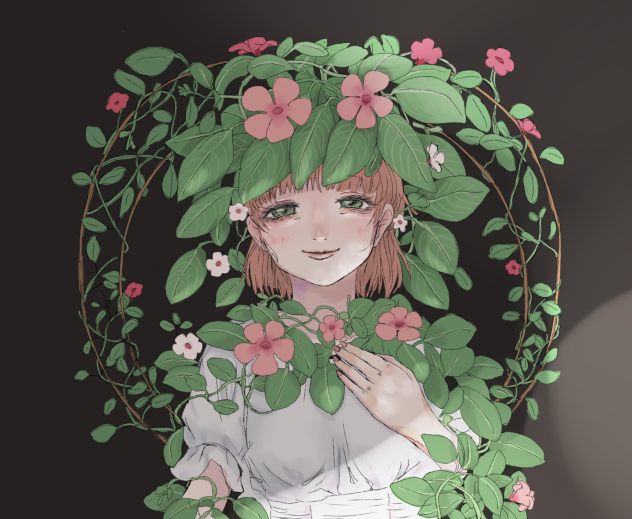 塗り絵 ニチニチソウ