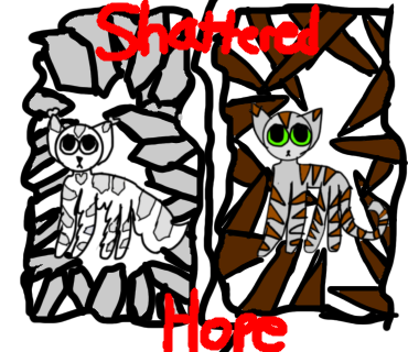 Shattered hope book cover