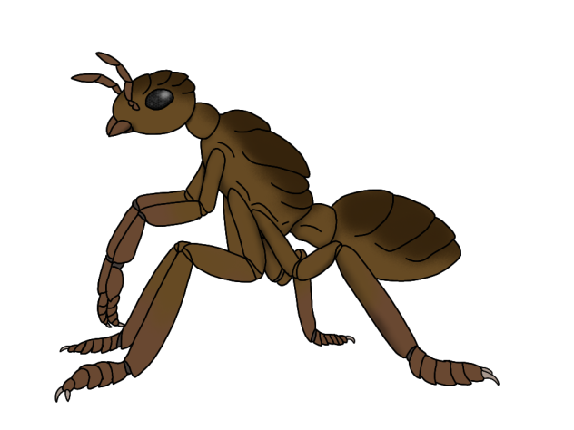Myrmidonian render