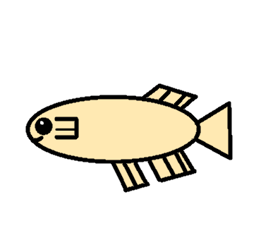 はじめてメダカを描きました(はじめてヒメダカを描きました)