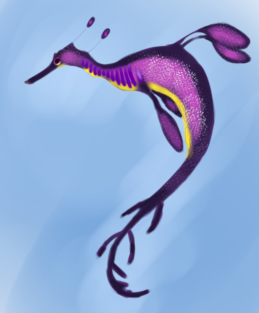 dragon sketch