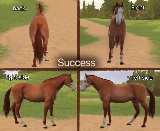 success!!