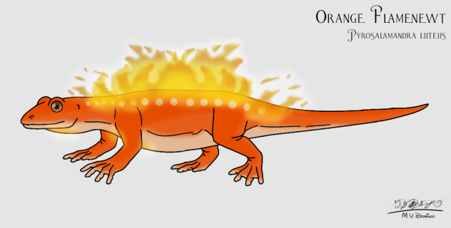 Orange Flamenewt glows