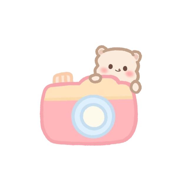 UCTC 2024 KEYCHAIN CAMERA BEAR