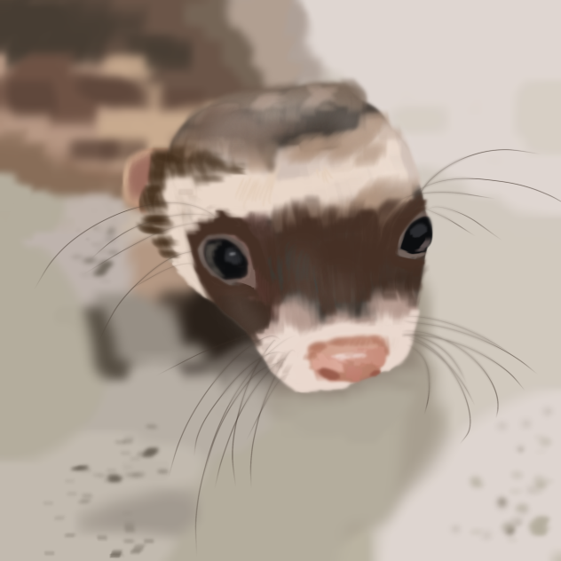 Lil noodle