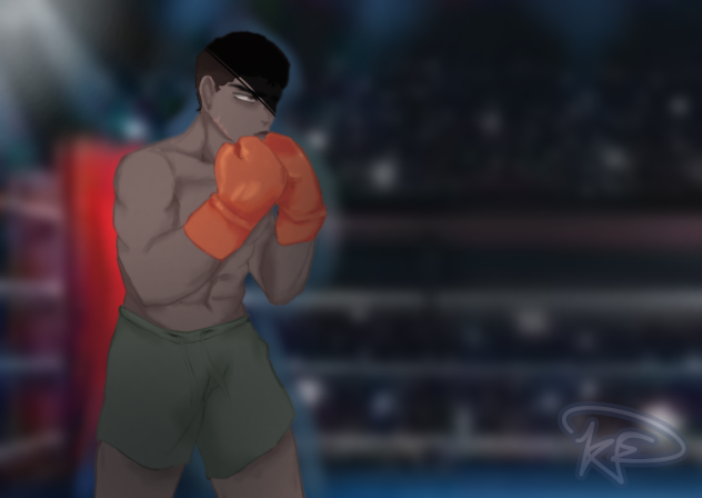 Mr. Boxer