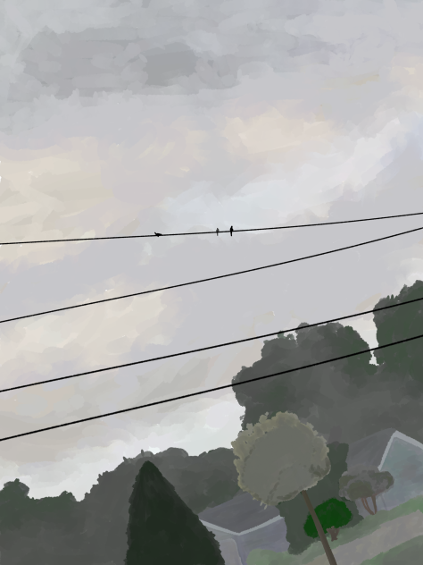 Two Birds On a Wire core