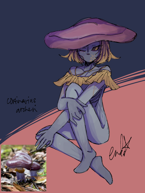 funguary; Cortinarius archeri