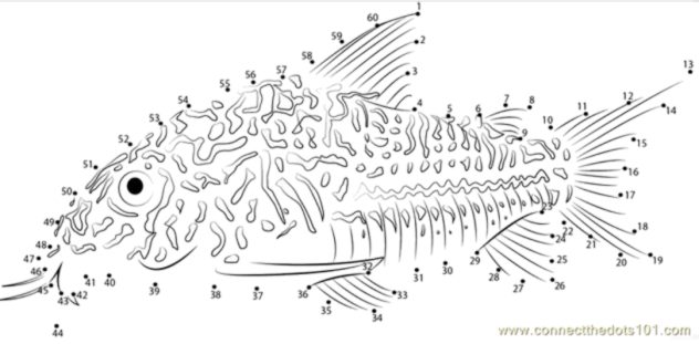 Collab draw leopard Cory doras