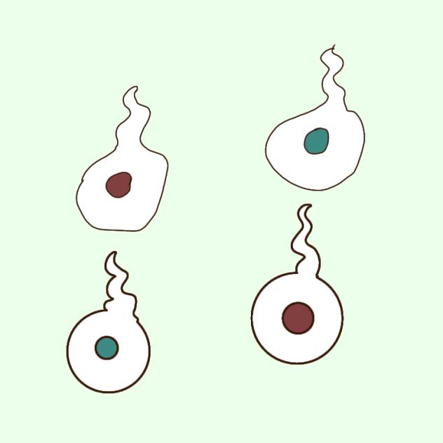 白杖代