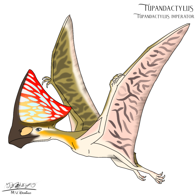 Tupandactylus imperator