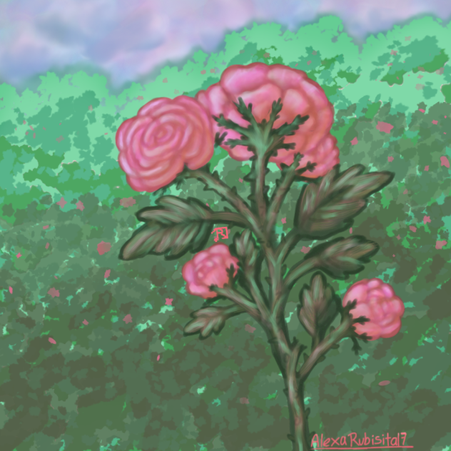 La belleza de un millar de rosas