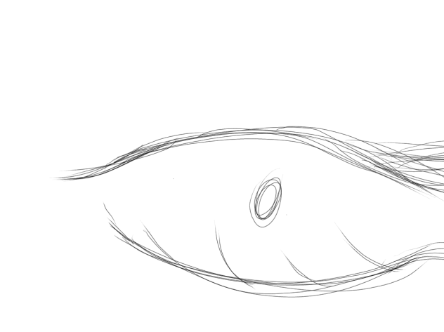 Eye
