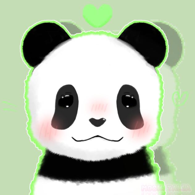 National Panda Day!! 🐼🎍💚✨