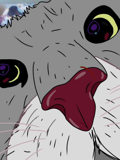my cat - ibisPaint