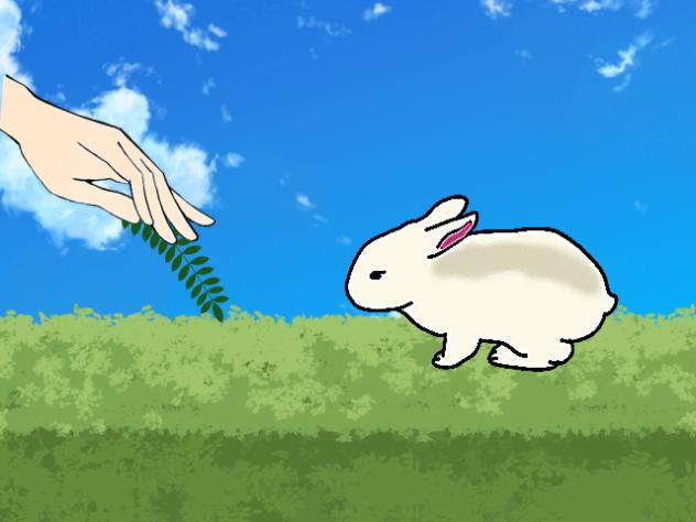 うさちゃん