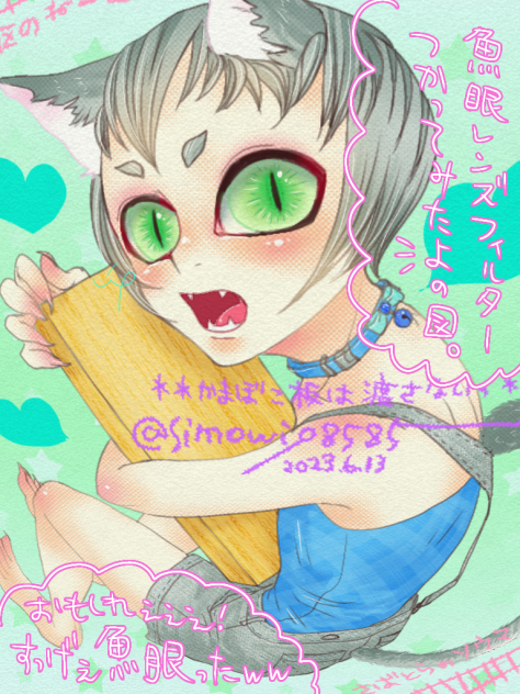 魚眼レンズフィルター使用してみたっ🐱❤️