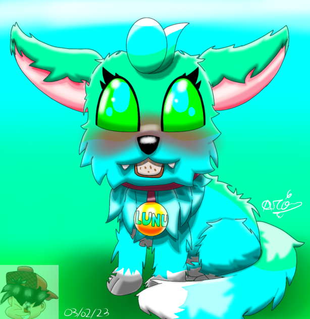 lunu the kitty