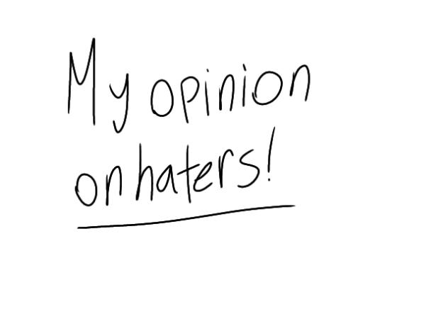 my opinion on haters
