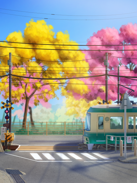 blooming ypê trees