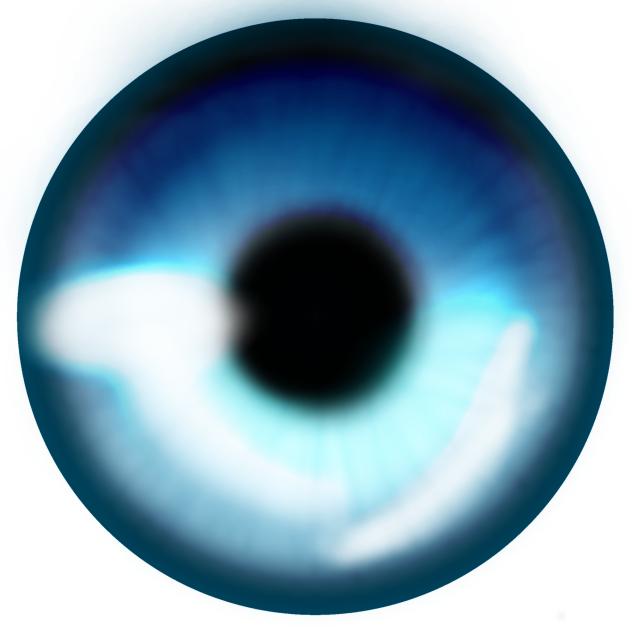 eye