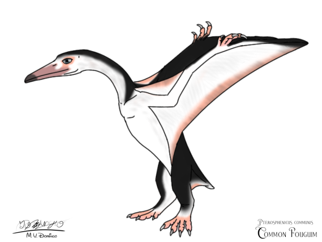 Common Fouguim