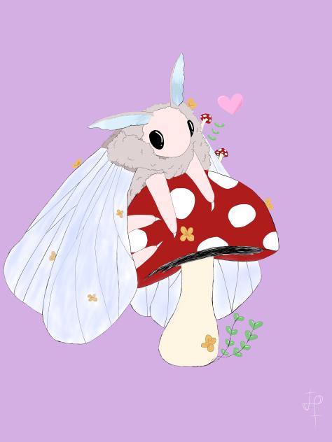 Mushroom moth