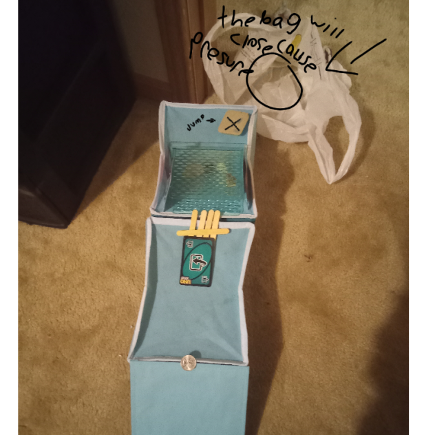 my lepricon trap!!