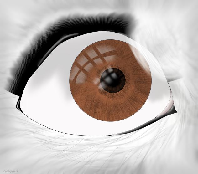 Chéri Eye