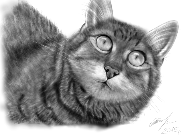 Як намалювати кота - ibisPaint