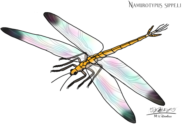 Namurotypus sippeli